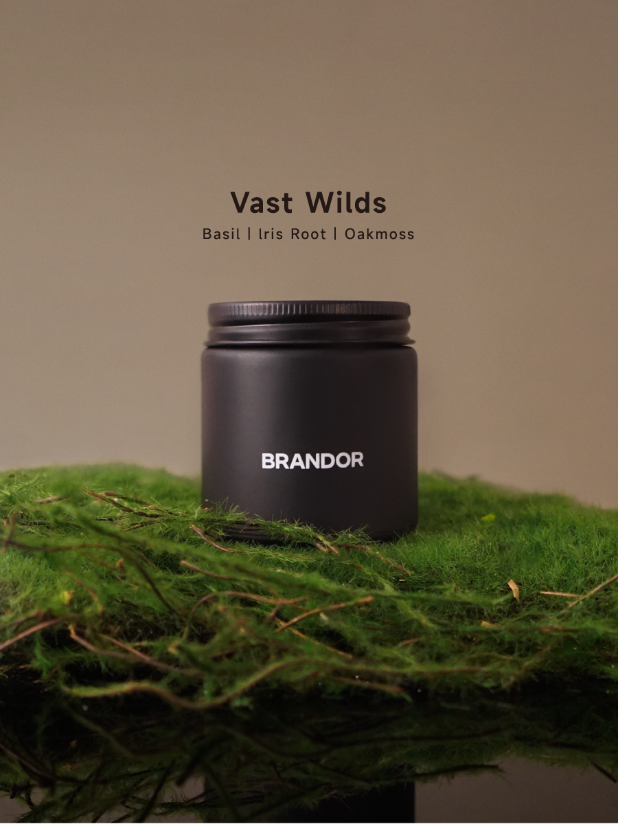 Vast Wilds