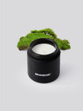 Hovering Woodland